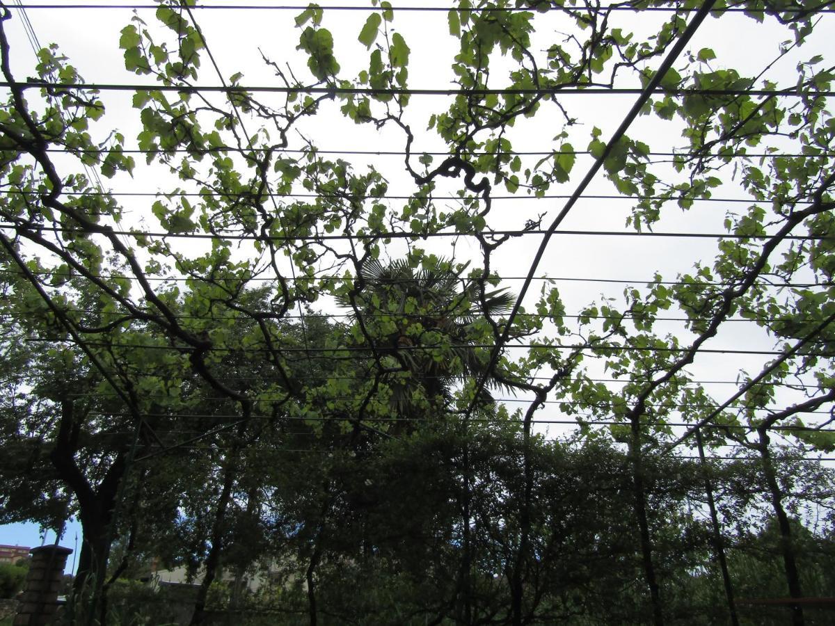 Apartma Gardens 2 *