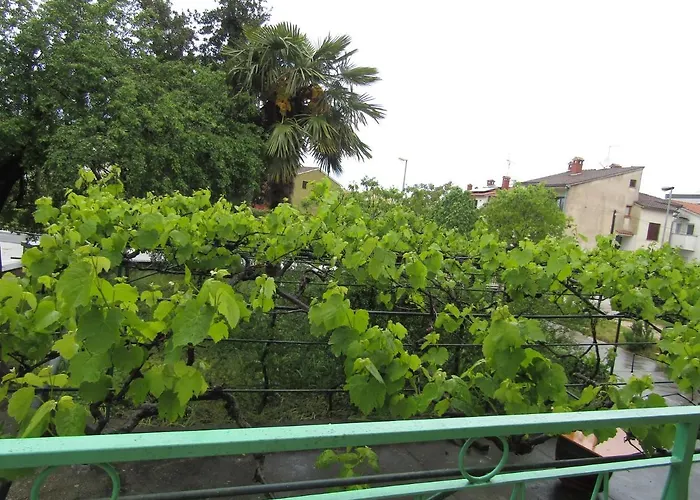 Green Gardens 2