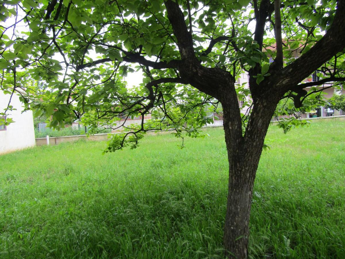 Gardens 2 *